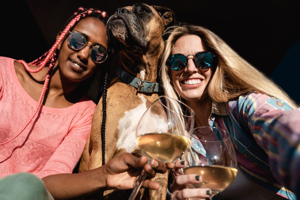 Friends drinking wine with a dog between them
